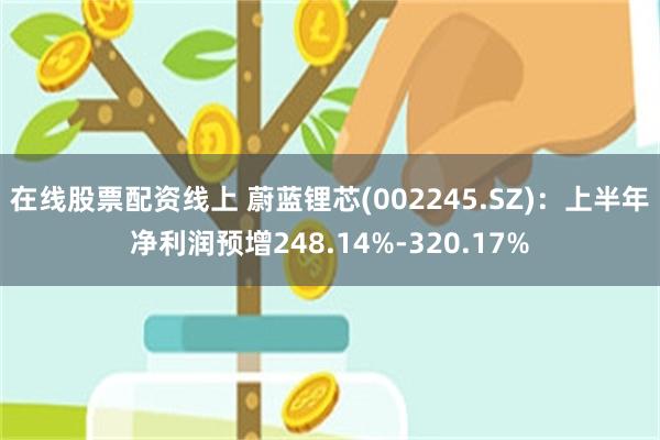 在线股票配资线上 蔚蓝锂芯(002245.SZ)：上半年净利润预增248.14%-320.17%