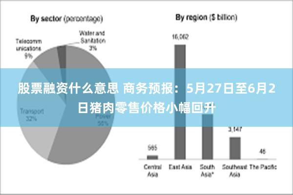 股票融资什么意思 商务预报：5月27日至6月2日猪肉零售价格小幅回升