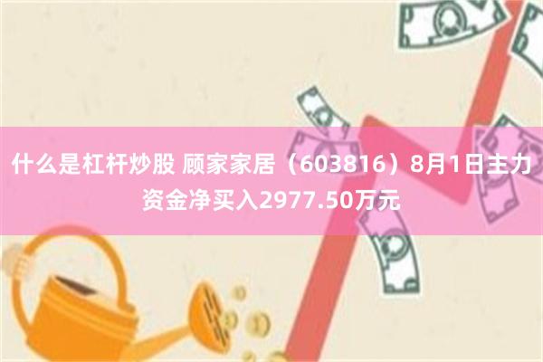 什么是杠杆炒股 顾家家居（603816）8月1日主力资金净买入2977.50万元