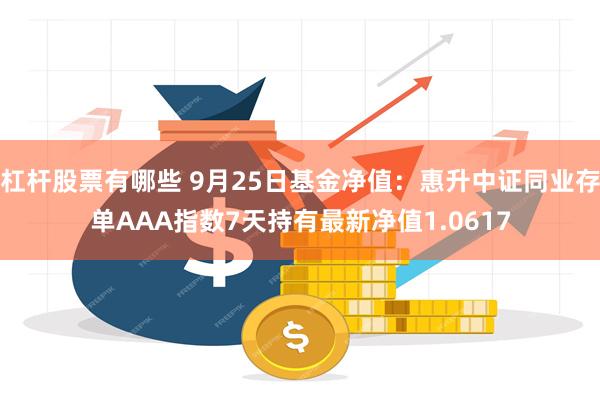 杠杆股票有哪些 9月25日基金净值：惠升中证同业存单AAA指数7天持有最新净值1.0617