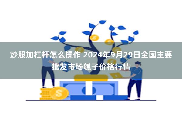 炒股加杠杆怎么操作 2024年9月29日全国主要批发市场瓠子价格行情