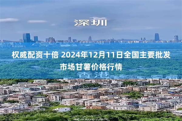 权威配资十倍 2024年12月11日全国主要批发市场甘薯价格行情