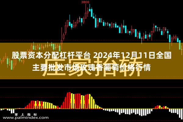 股票资本分配杠杆平台 2024年12月11日全国主要批发市场玫瑰香葡萄价格行情