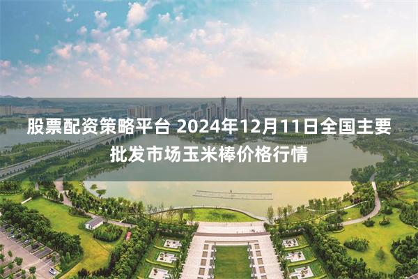 股票配资策略平台 2024年12月11日全国主要批发市场玉米棒价格行情