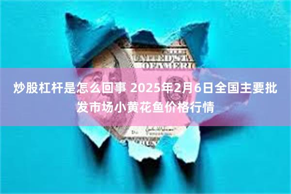 炒股杠杆是怎么回事 2025年2月6日全国主要批发市场小黄花鱼价格行情