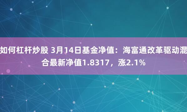 如何杠杆炒股 3月14日基金净值：海富通改革驱动混合最新净值1.8317，涨2.1%